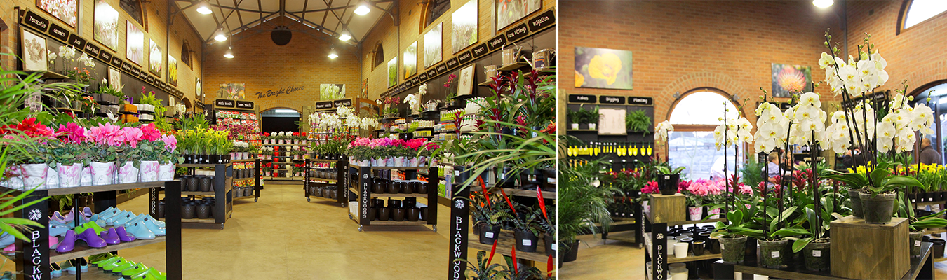 Blackwood's Gardenette in Howick